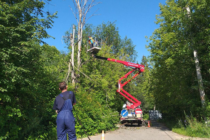  В Рузском округе кронируют деревья 