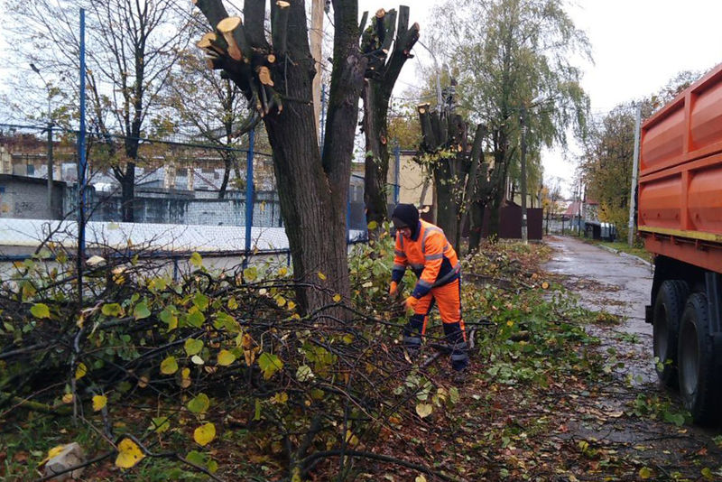 В Рузском округе обрезают деревья и кусты