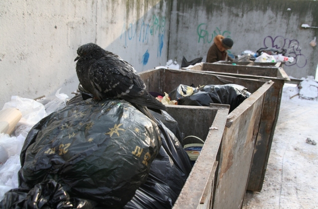Новые организации занялись вывозом мусора в Рузском городском округе
