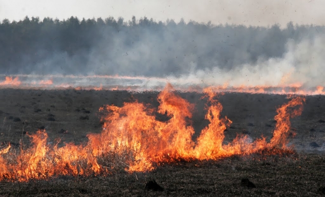 В Рузском округе тушат горящее поле