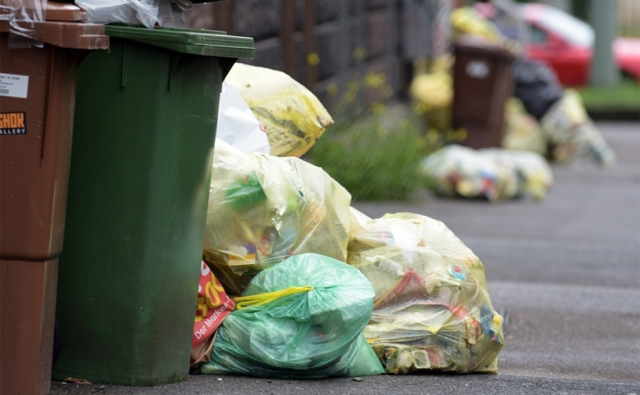 За отсутствие договоров на вывоз мусора жителей будут штрафовать с 1 июня