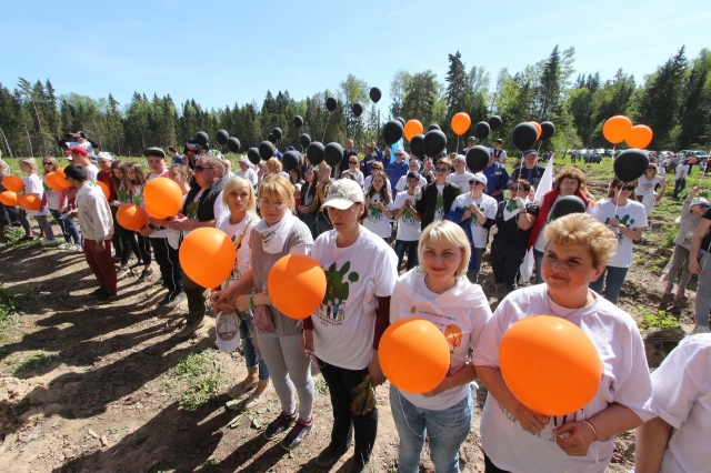 Акция «Георгиевская ленточка» прошла в Рузском округе в рамках посадки «Леса Победы»