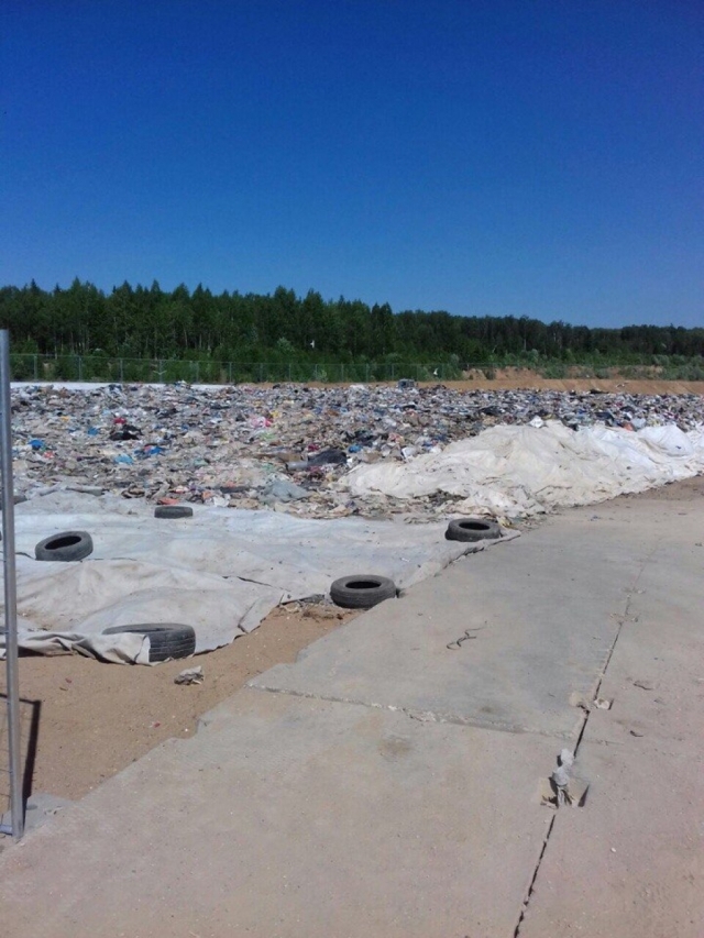 На временную площадку в Рузском округе отходы принимают через систему «Электронный талон»