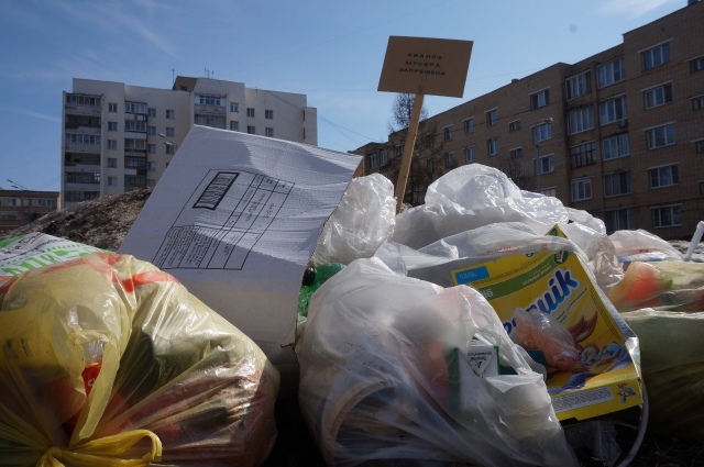 В Московской области будет проведена спецоперация по борьбе с незаконными навалами мусора