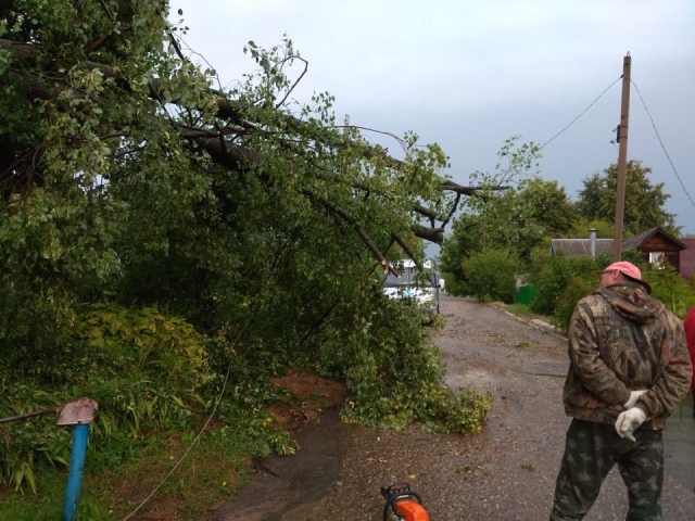 Последствия урагана ликвидируют в Рузском городском округе