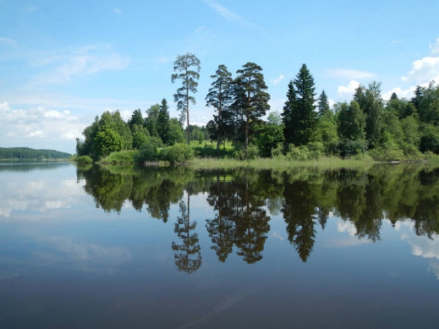 В Рузском округе предотвратили загрязнение Озернинского водохранилища