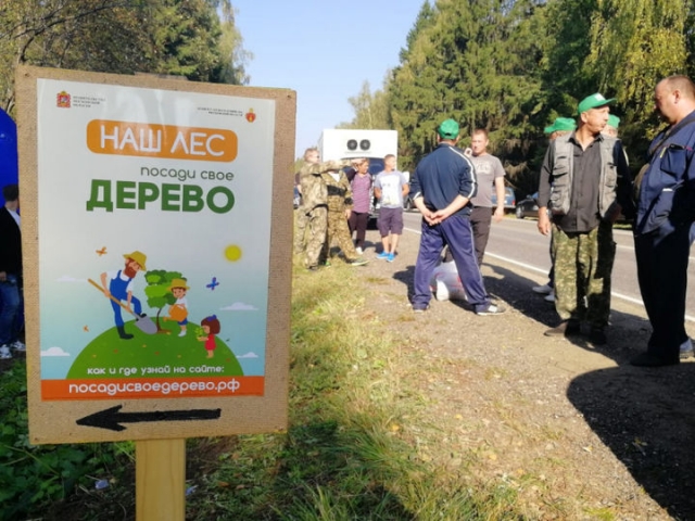 В Рузском округе стартовала акция «Наш лес. Посади свое дерево»
