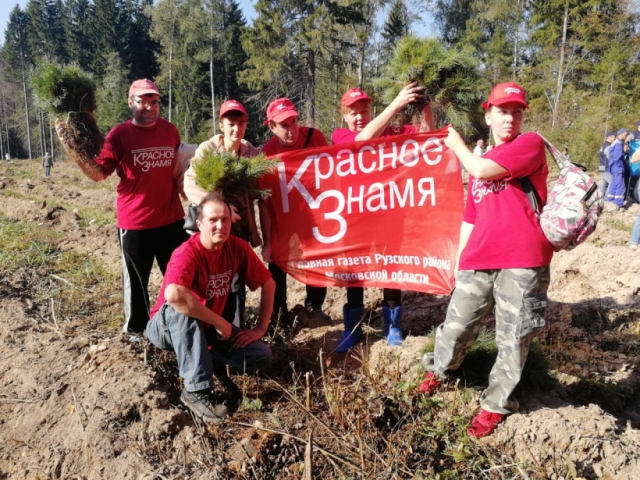 Сотрудники редакции «Красного знамени» приняли участие в акции «Наш лес. Посади свое дерево»