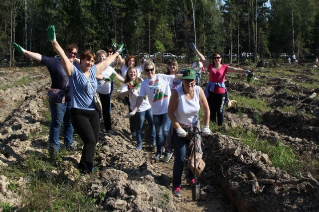 Более трех тысяч человек приняли участие в акции «Наш лес. Посади свое дерево» в Рузском округе