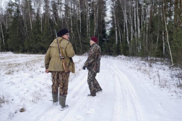 Осенне-зимний сезон охоты на лосей завершится в Московской области во вторник