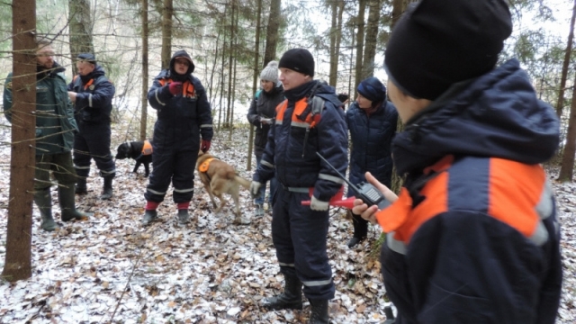 Спасатели вывели из леса одиннадцать заблудившихся с начала года в Московской области