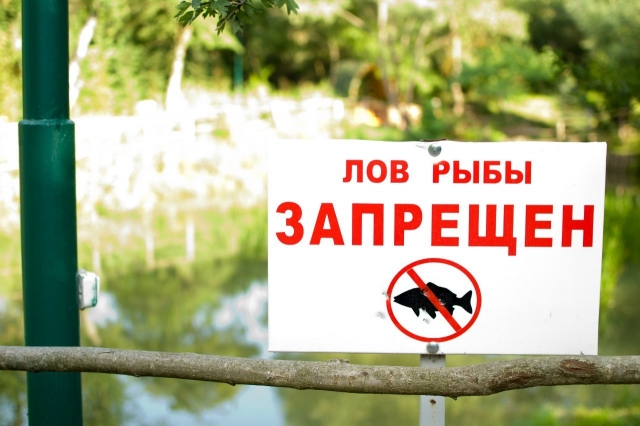 Запрет на вылов рыбы введен в Рузском округе