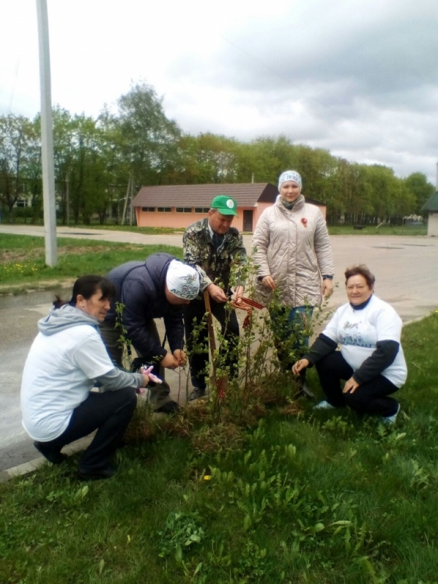 Жители деревни Нововолково Рузского городского округа приняли участие в акции «Лес Победы. Посади свое дерево»