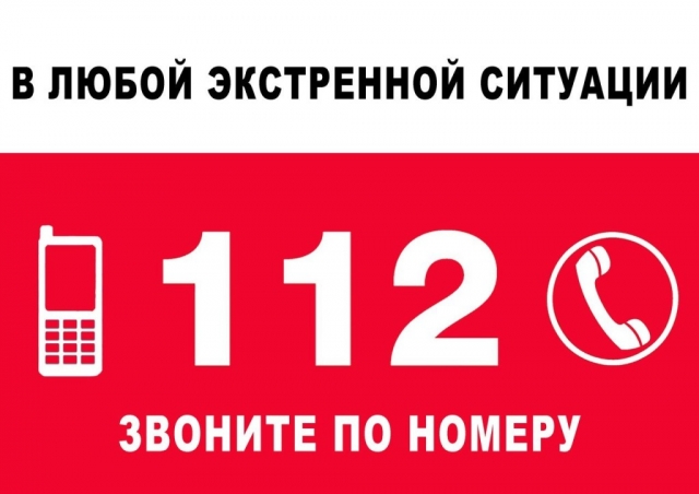 Почти 500 звонков поступило в ЕДДС и по номеру 112 в Рузском округе