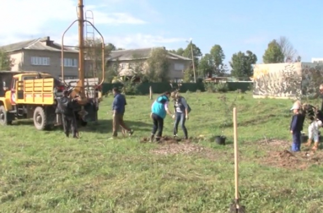 Волонтеры устранили последствия урагана в деревне Колюбакино - телеканал 