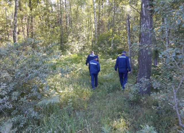 Отголоски грибного сезона: спасатели выводят из лесов Московской области сотни заблудившихся