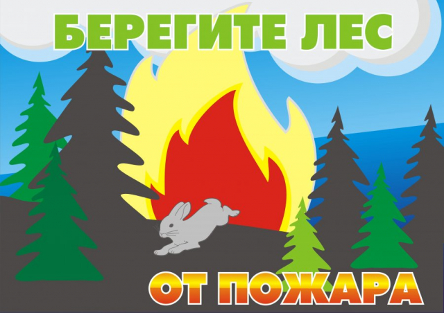 Ружанам напоминают об ответственности за нарушение правил пожарной безопасности в лесу
