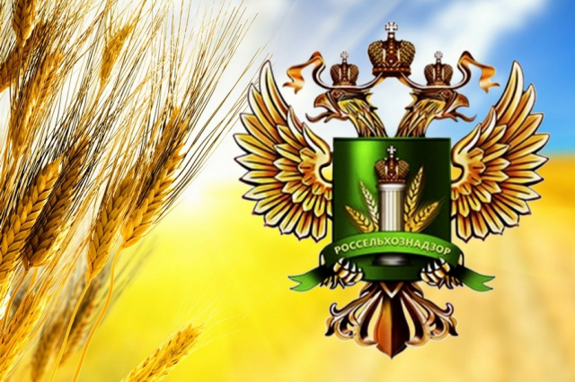 Суд приостановил деятельность сельхозпредприятия в Рузском округе