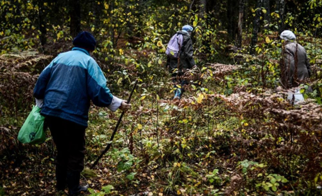 Дедушка с двумя подростками заблудились в лесу в Рузском округе