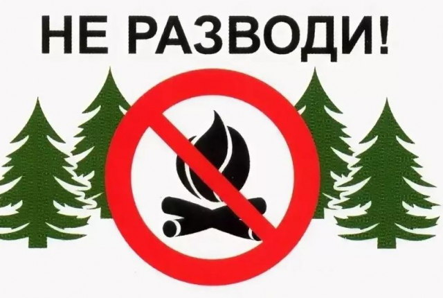 Ружанам напоминают об ответственности за нарушение правил поведения в лесу