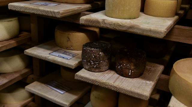 Около 100 тонн сыра привезут на фестиваль «Сыр Пир Мир» в Подмосковье - РИАМО