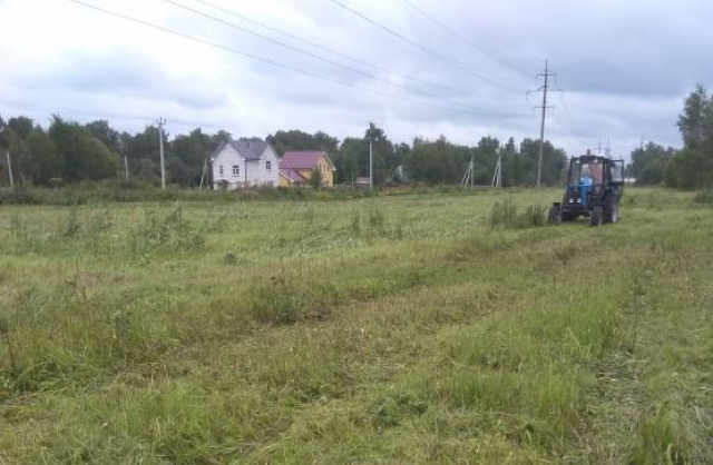 Окос борщевика и травы продолжается в Рузском округе