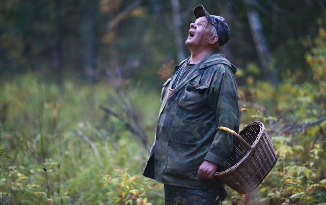 В Московской области с начала года вывели из лесов более 1000 человек