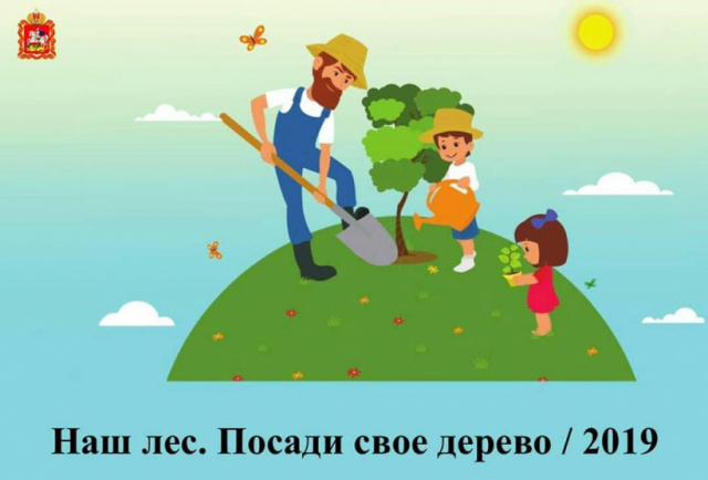 В Рузском округе посадят 12 тысяч сосен
