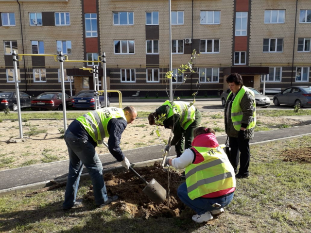 В Рузском городском округе прошла областная экологическая акция 