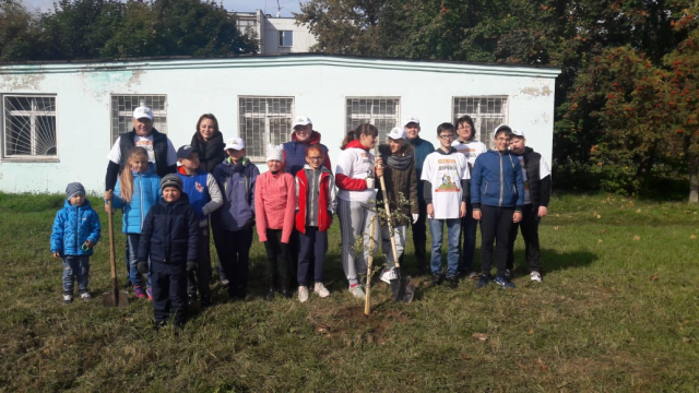 30 деревьев посадили в Нововолково