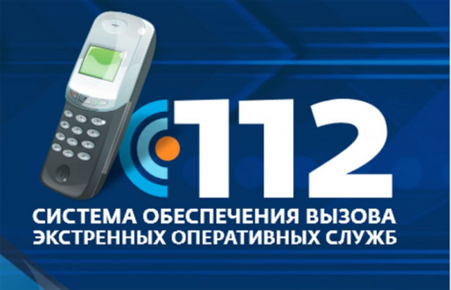 Количество звонков в систему-112 в Рузском округе снизилось почти вдвое