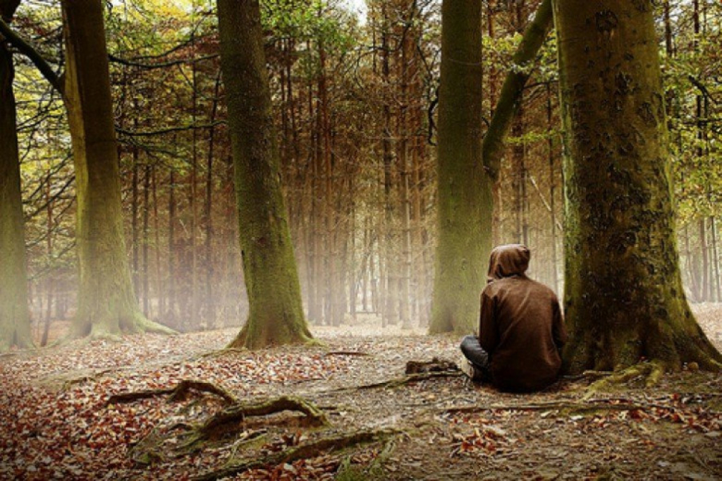 Человек который любит лес. Заблудился в лесу. Человек в лесу. Одинокий лес. Фотосессия в лесу.