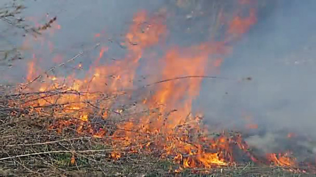 В Рузском округе подростки помогли потушить пожар