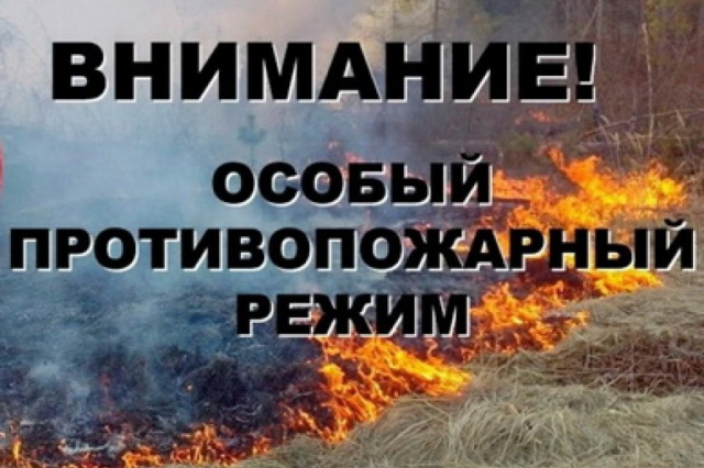 В Рузском округе объявлен особый противопожарный режим
