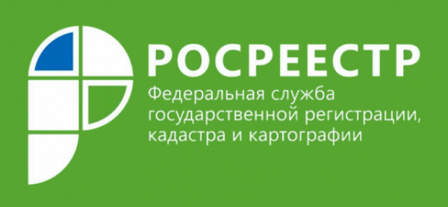 Ружанам ответят на вопросы по «лесной амнистии»