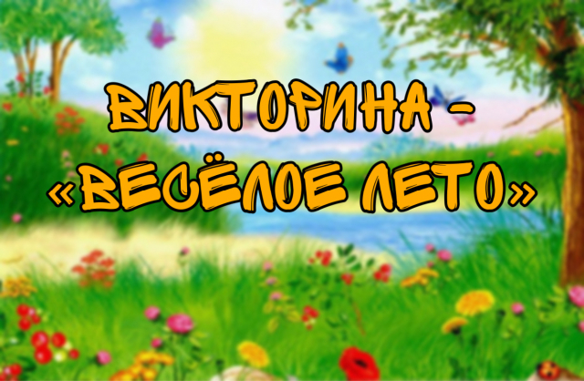 «Веселое лето» в Старониколаево