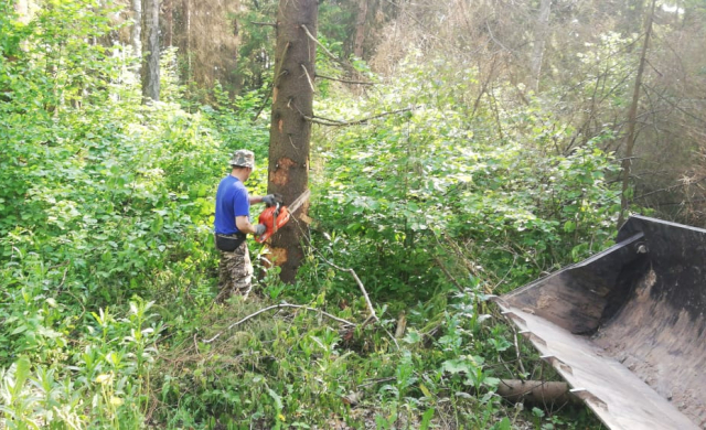 В Рузском округе убирают поврежденные деревья