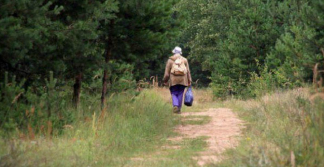 В Рузском округе в лесу заблудилась женщина