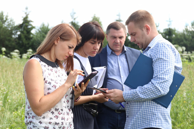 Бороться с борщевиком в Рузском округе будут при помощи мобильного приложения