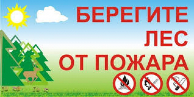 Ружанам напоминают правила пожарной безопасности в лесу