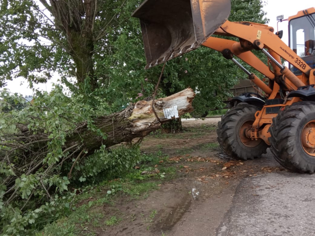 В Рузском округе убирают поваленные деревья