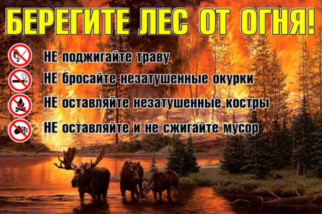 Рузской полицией проводятся мероприятия по предупреждению лесных пожаров