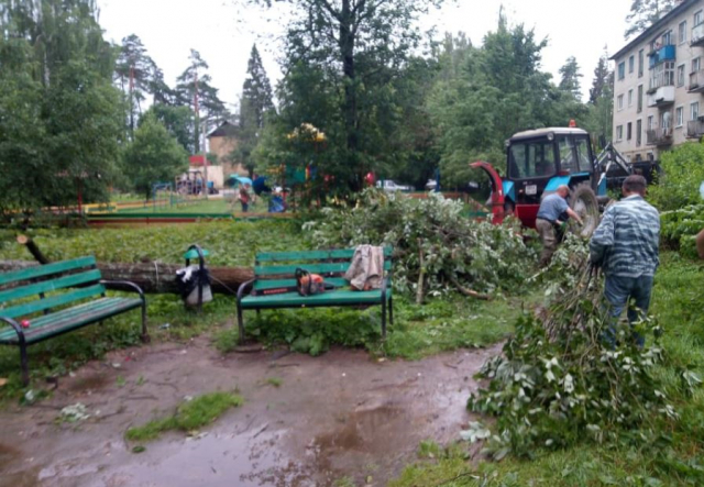 В Рузском округе убирали поваленные деревья
