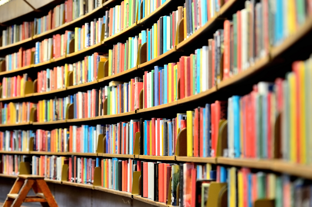 Какие книги любят колюбакинские библиотекари