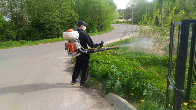 В Рузском округе обрабатывают гербицидами полосы отвода дорог