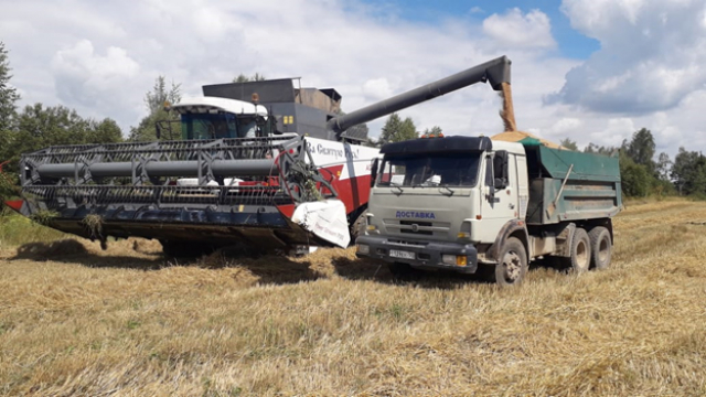 В Рузском округе ведется уборка зерновых культур