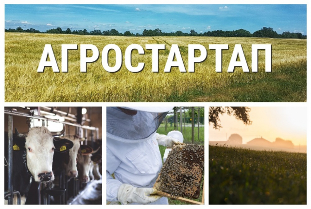 Ружан информируют о дополнительном отборе проектов «Агростартап»