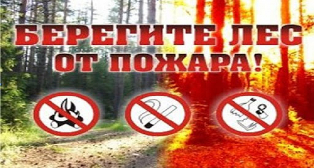 В Рузском округе ведется профилактика лесных пожаров