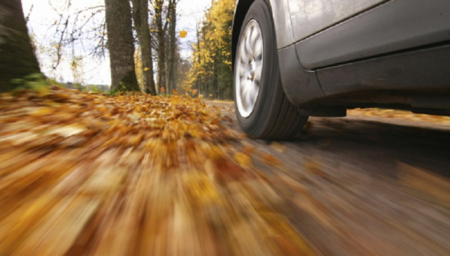 Ружан призывают быть более внимательными на дорогах в осенний период