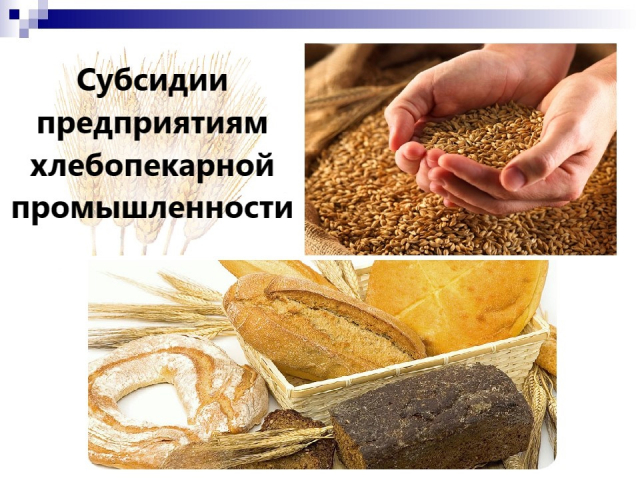 Ружан информируют о субсидии предприятиям хлебопекарной промышленности и производителям муки